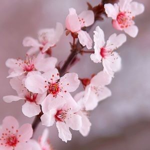 Meet your Posher, S.